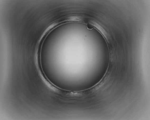 X0000113351139200909151148