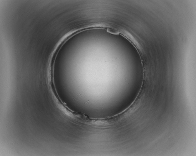X0000113351140200909151148