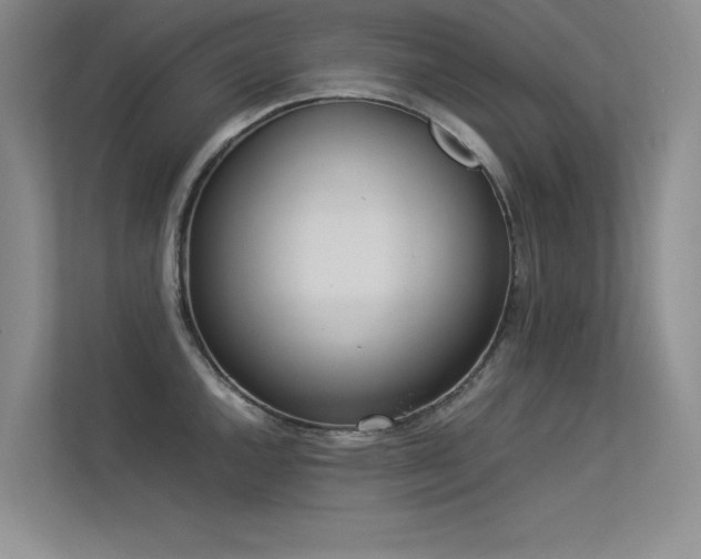 X0000113351144200909151148