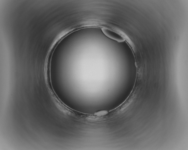 X0000113351146200909151148