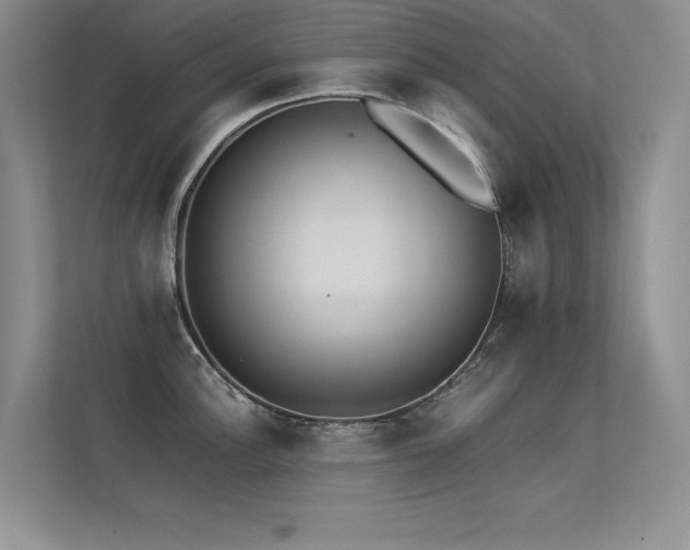 X0000113351148200909151148