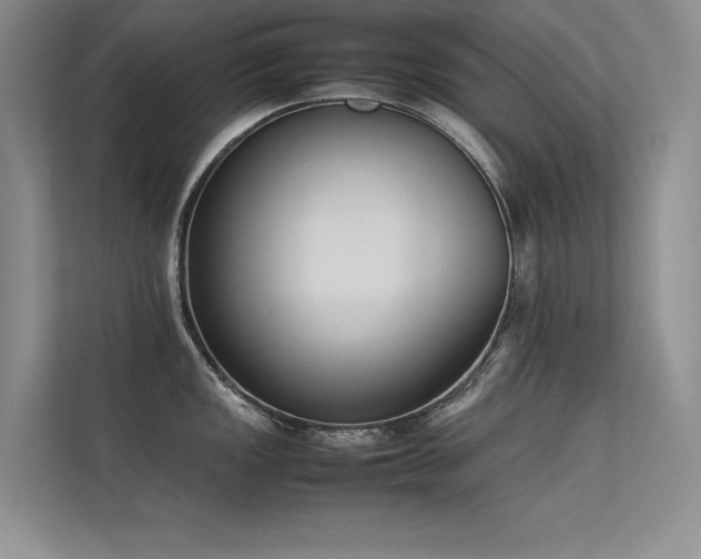 X0000113351149200909151148