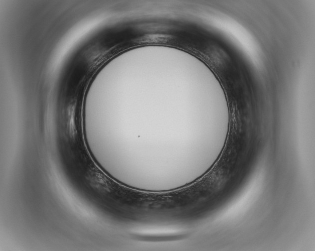 X0000113351150200909151148