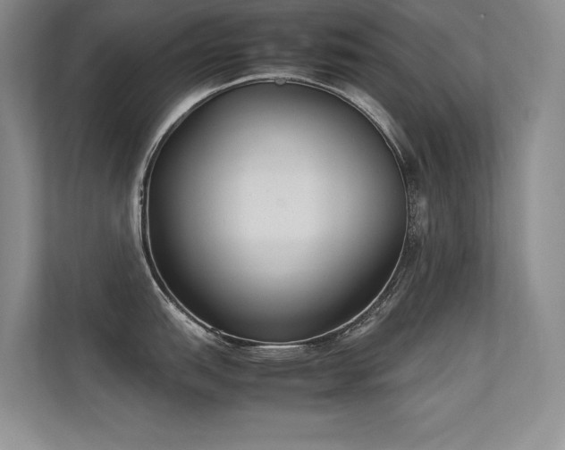 X0000113351151200909151148