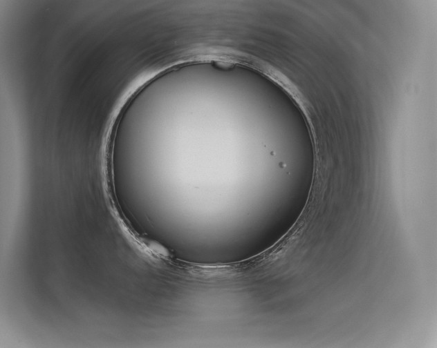 X0000113351152200909151148