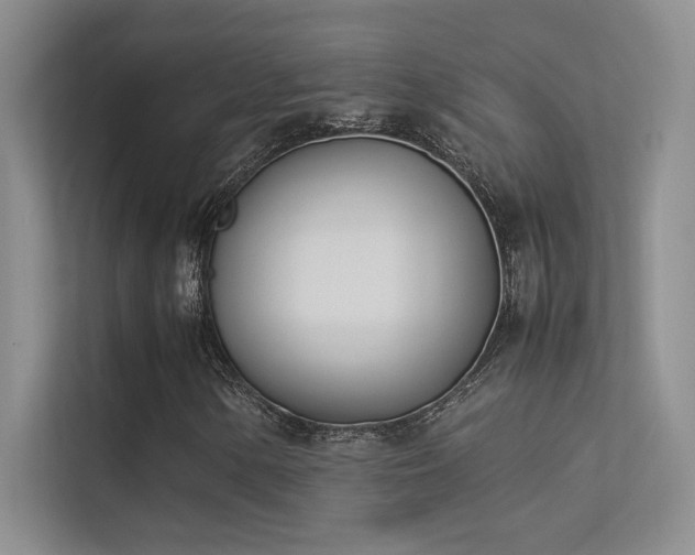 X0000113351154200909151148