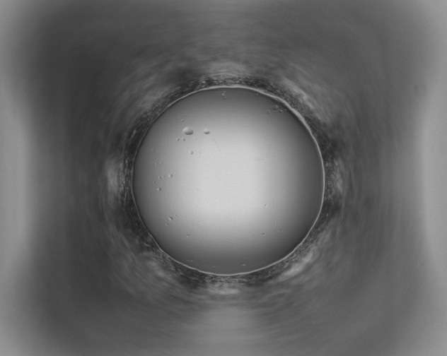 X0000113351157200909151148