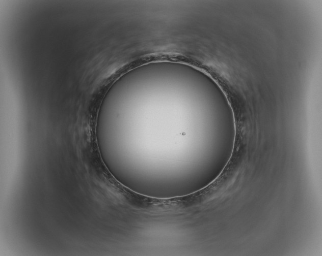 X0000113351159200909151148