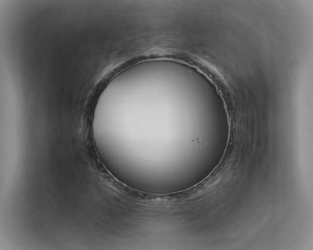 X0000113351160200909151148