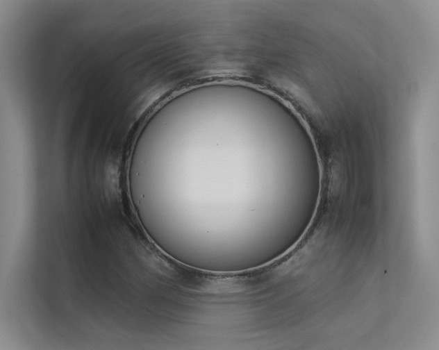 X0000113351162200909151148
