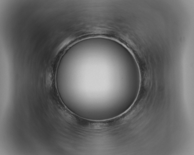 X0000113351163200909151148