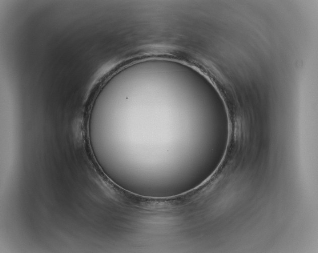 X0000113351164200909151148