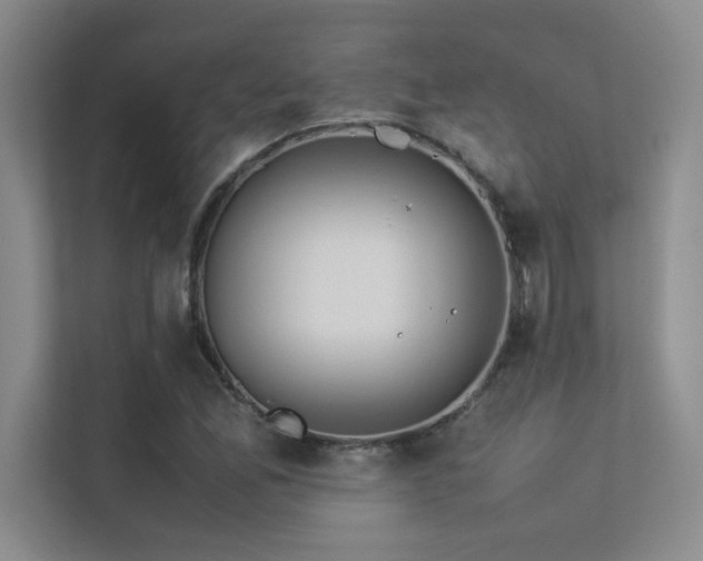 X0000113351165200909151148