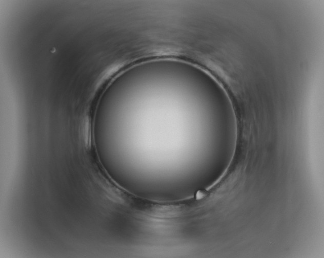 X0000113351171200909151147