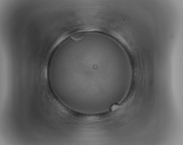 X0000113351173200909151147