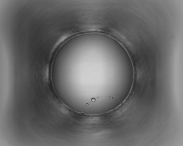 X0000113351174200909151147