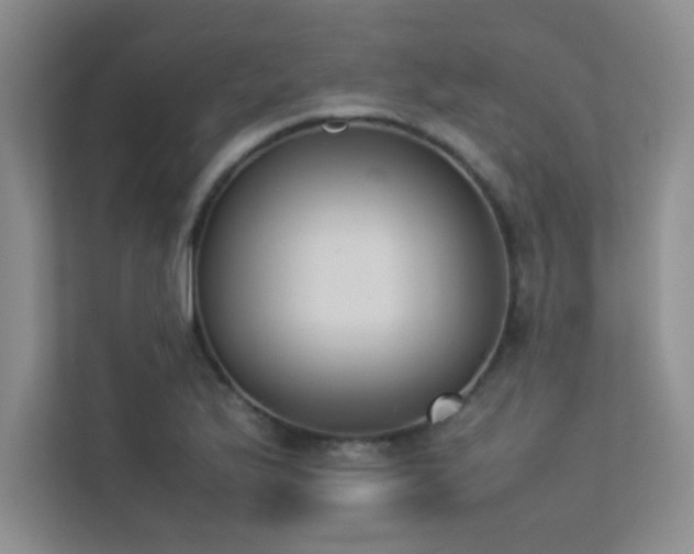 X0000113351175200909151147