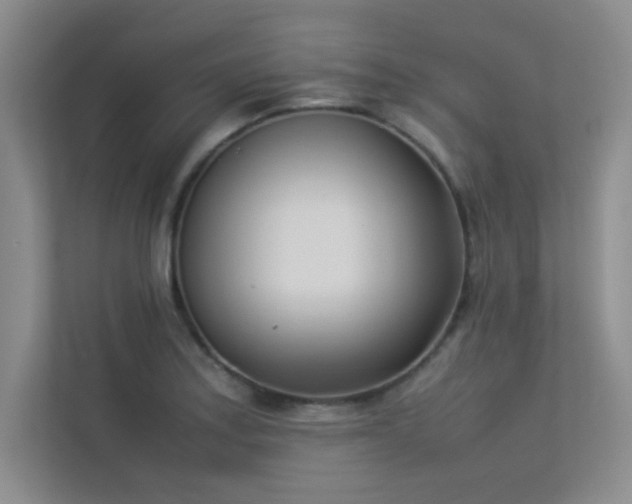 X0000113351179200909151147