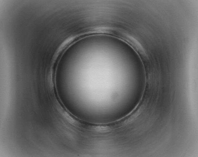 X0000113351180200909151147