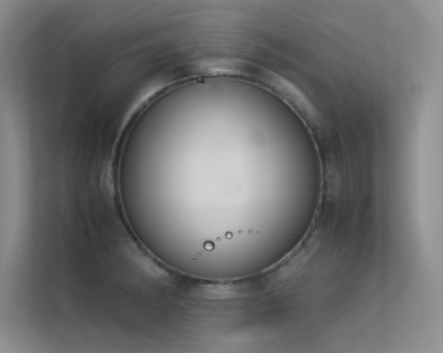 X0000113351182200909151147