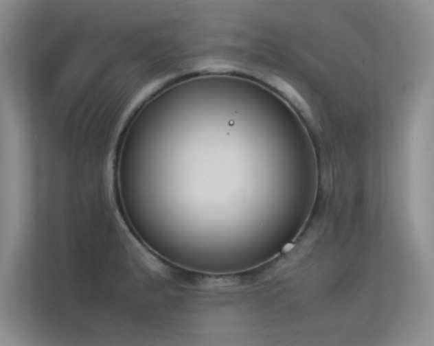 X0000113351183200909151147