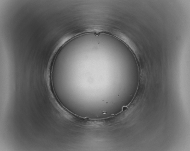 X0000113351187200909151147