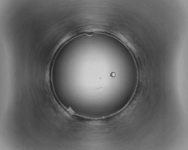 X0000113351189200909151147