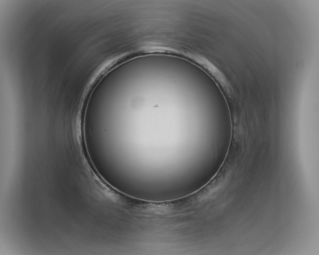 X0000113351191200909151147