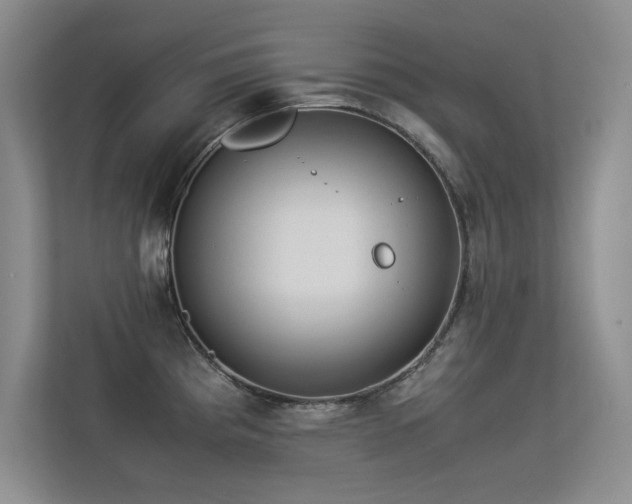 X0000113351193200909151147