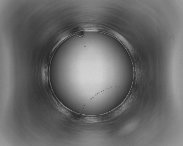 X0000113351194200909151147
