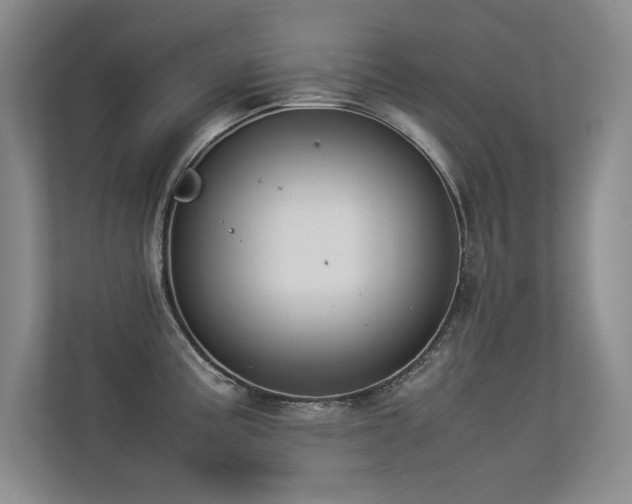 X0000113351195200909151147