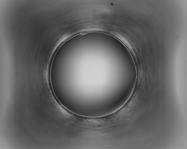 X0000113351197200909151147