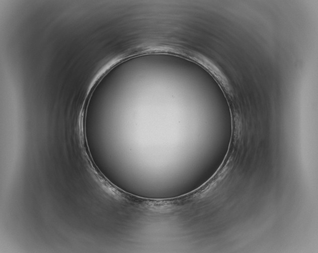 X0000113351198200909151147