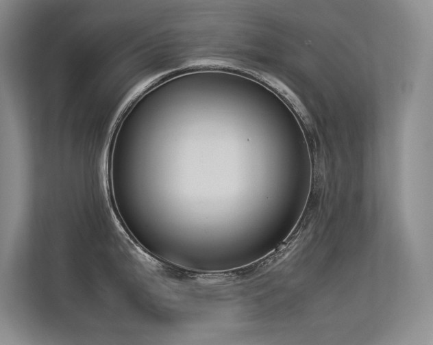 X0000113351199200909151147