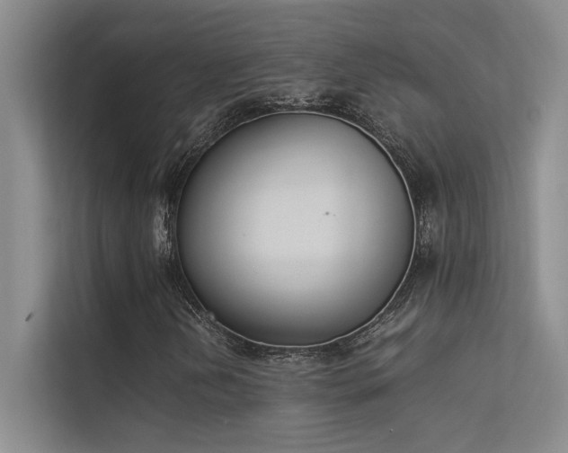 X0000113351202200909151147