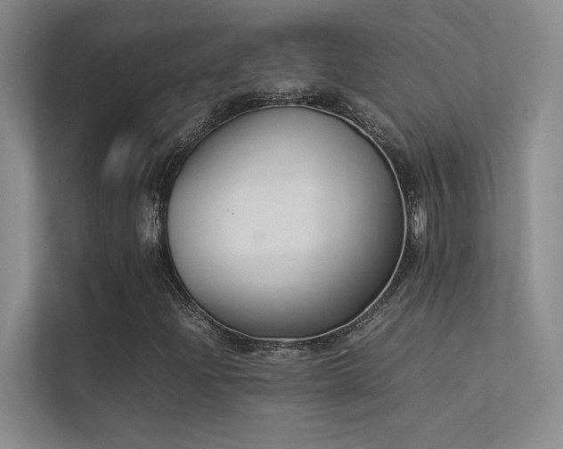 X0000113351204200909151147