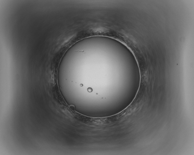 X0000113351205200909151147