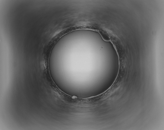 X0000113351206200909151147