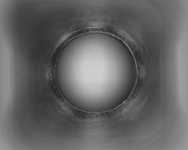 X0000113351208200909151147