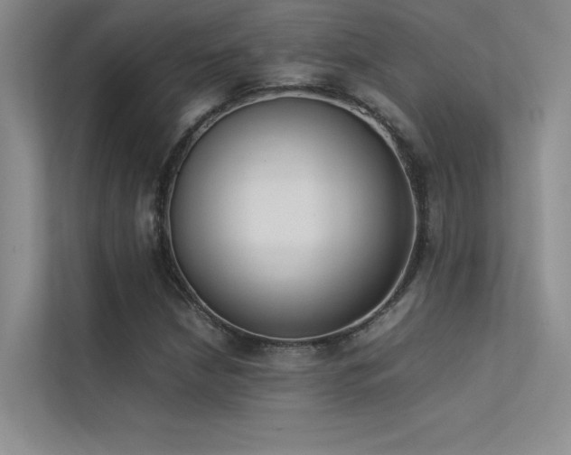 X0000113351210200909151147