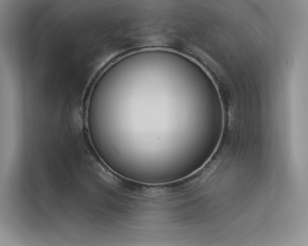 X0000113351212200909151147