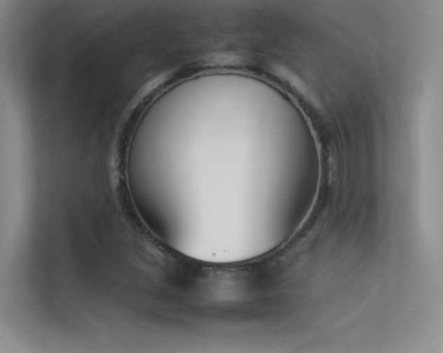 X0000113351213200909151147