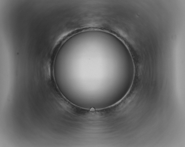 X0000113351214200909151147