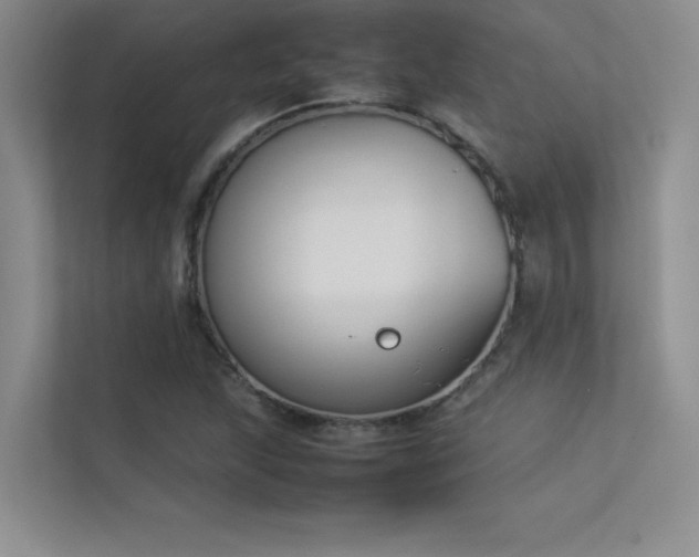 X0000113351215200909151147