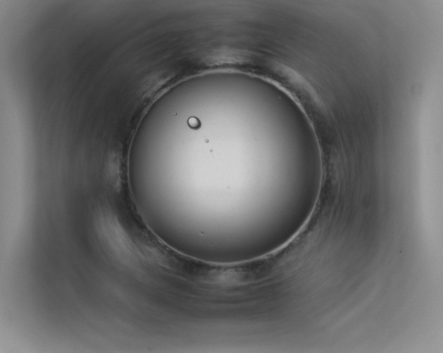X0000113351217200909151147