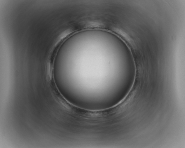 X0000113351219200909151147