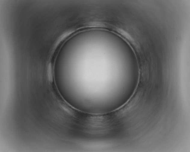 X0000113351223200909151147
