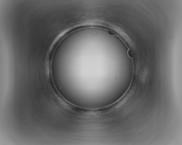 X0000113351224200909151147