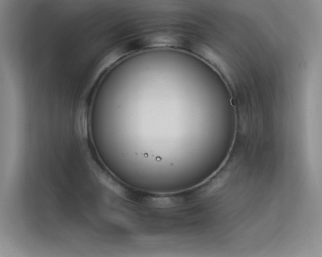 X0000113351227200909151147