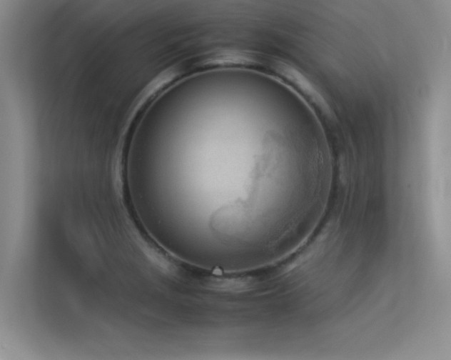 X0000113351229200909151147